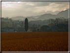 foto Pendici del Monte Grappa in Inverno